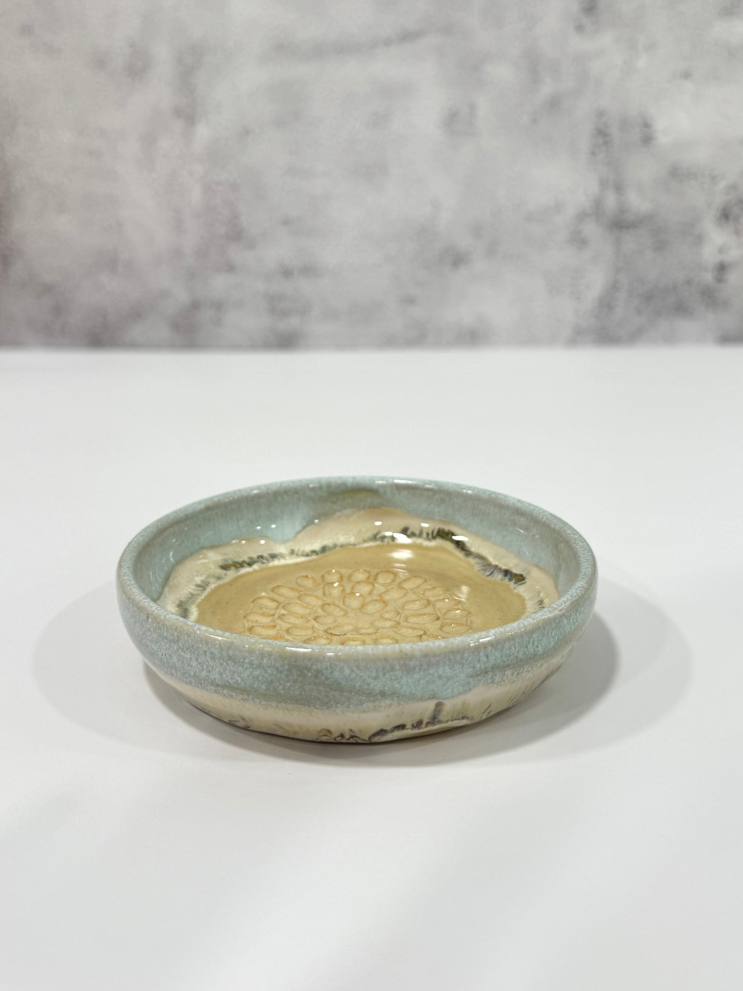 Garlic Grater Plate | Shoreline