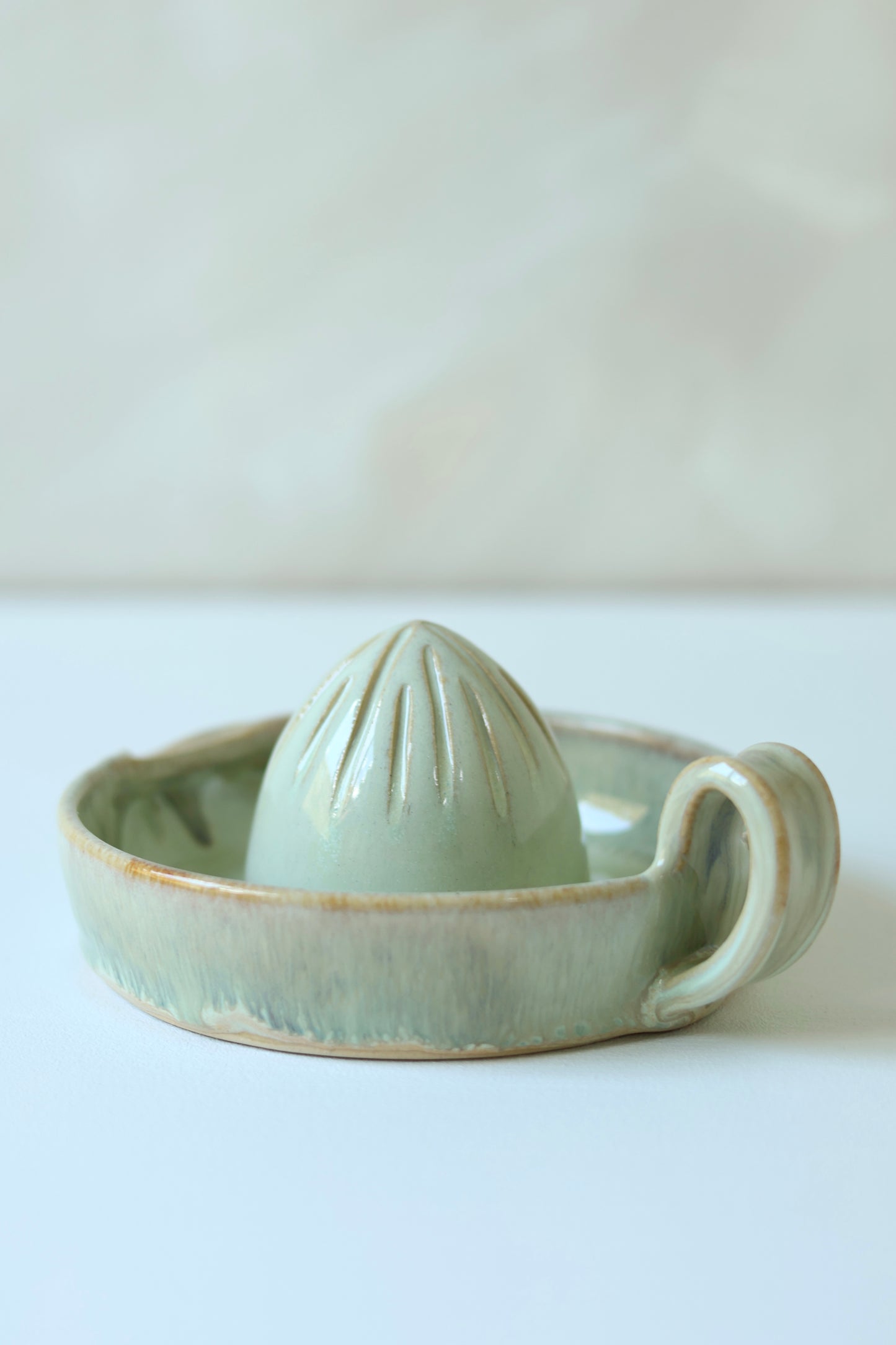 Citrus Juicer | Dewy Moss