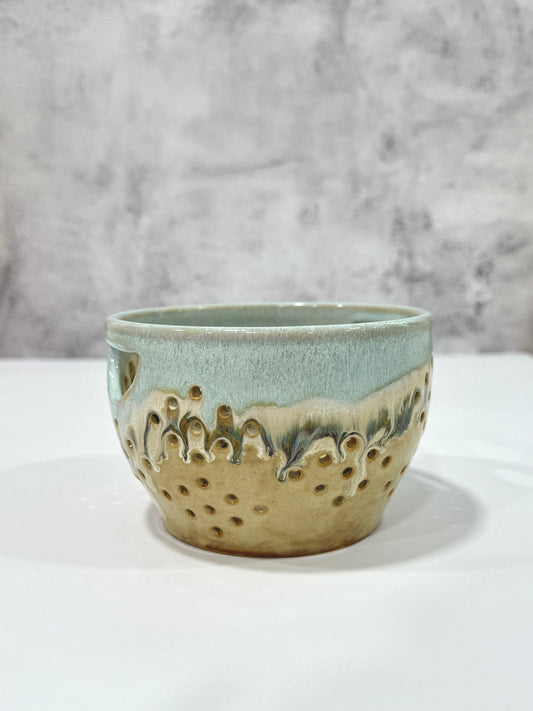 Berry Bowl | Shoreline