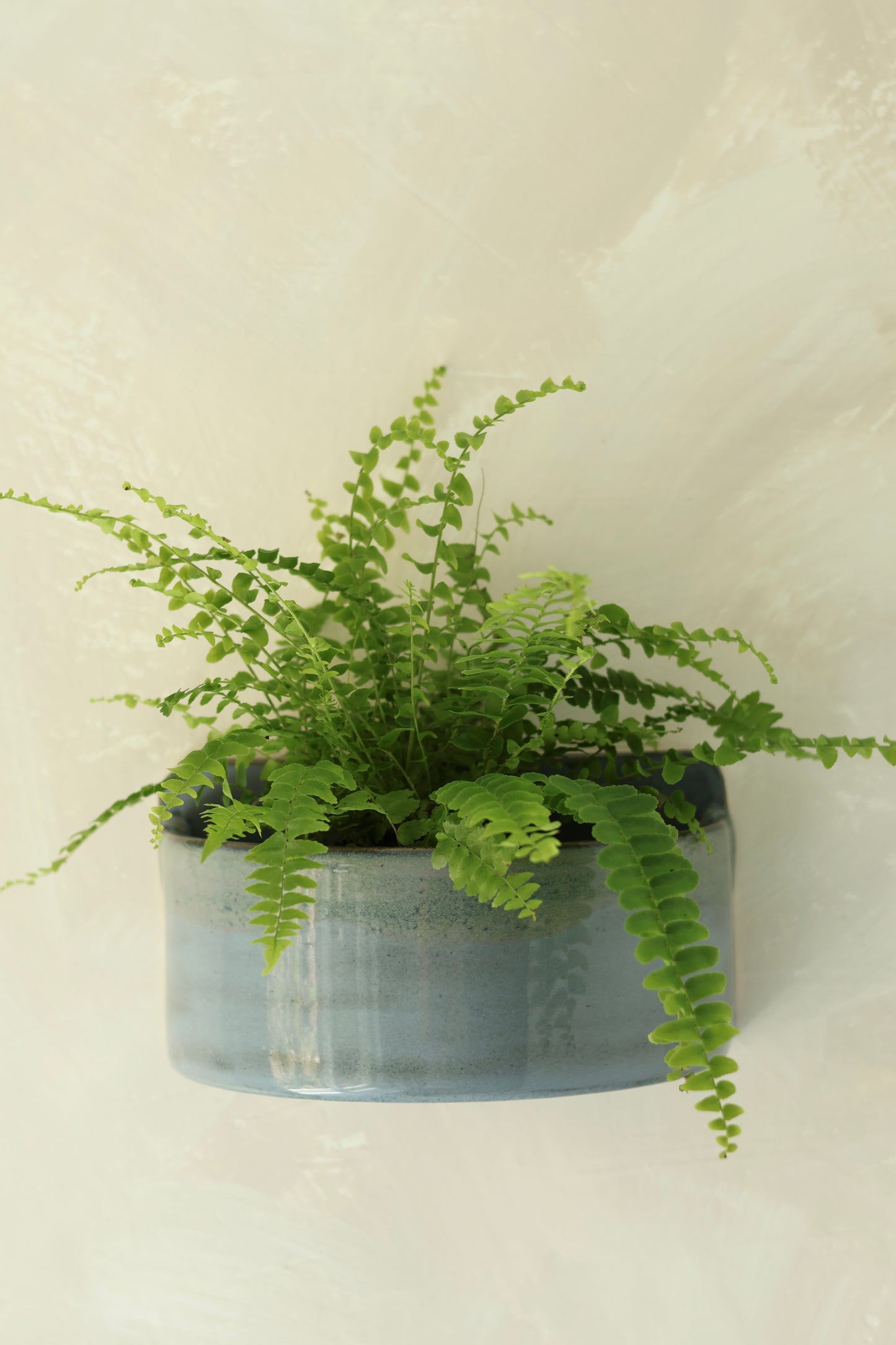Wall Pocket Planter | Stormy Midnight