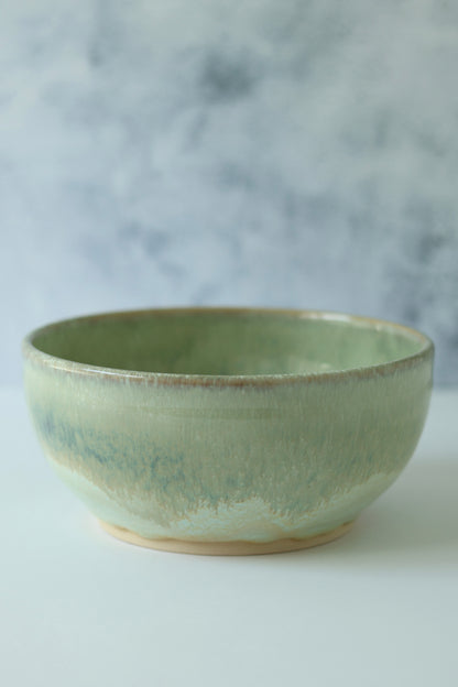 SECOND The PERSONAL Garlic Grater Salad Bowl | Dewy Moss | Crack 30% OFF