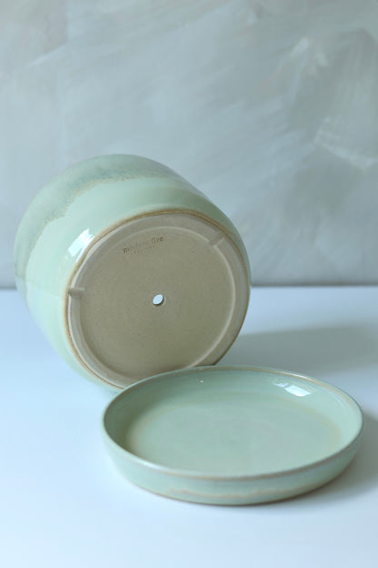 Planter Pot | Dewy Moss