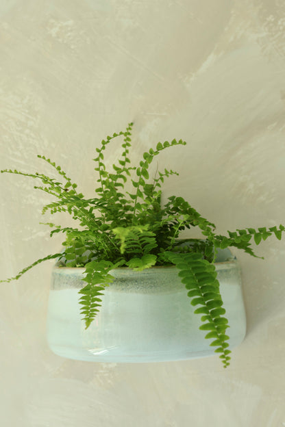 Wall Pocket Planter | Glacier Melt