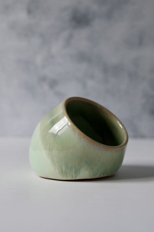 Salt Cellar | Dewy Moss