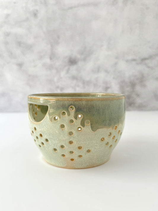 Berry Bowl | Dewy Moss