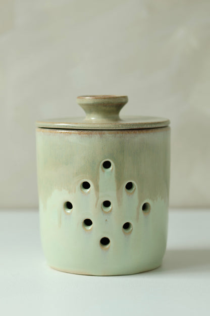 Garlic Keeper | Dewy Moss