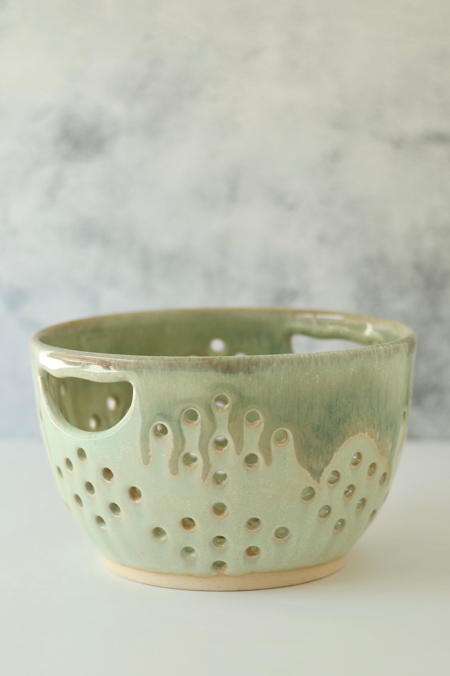 Berry Bowl | Dewy Moss