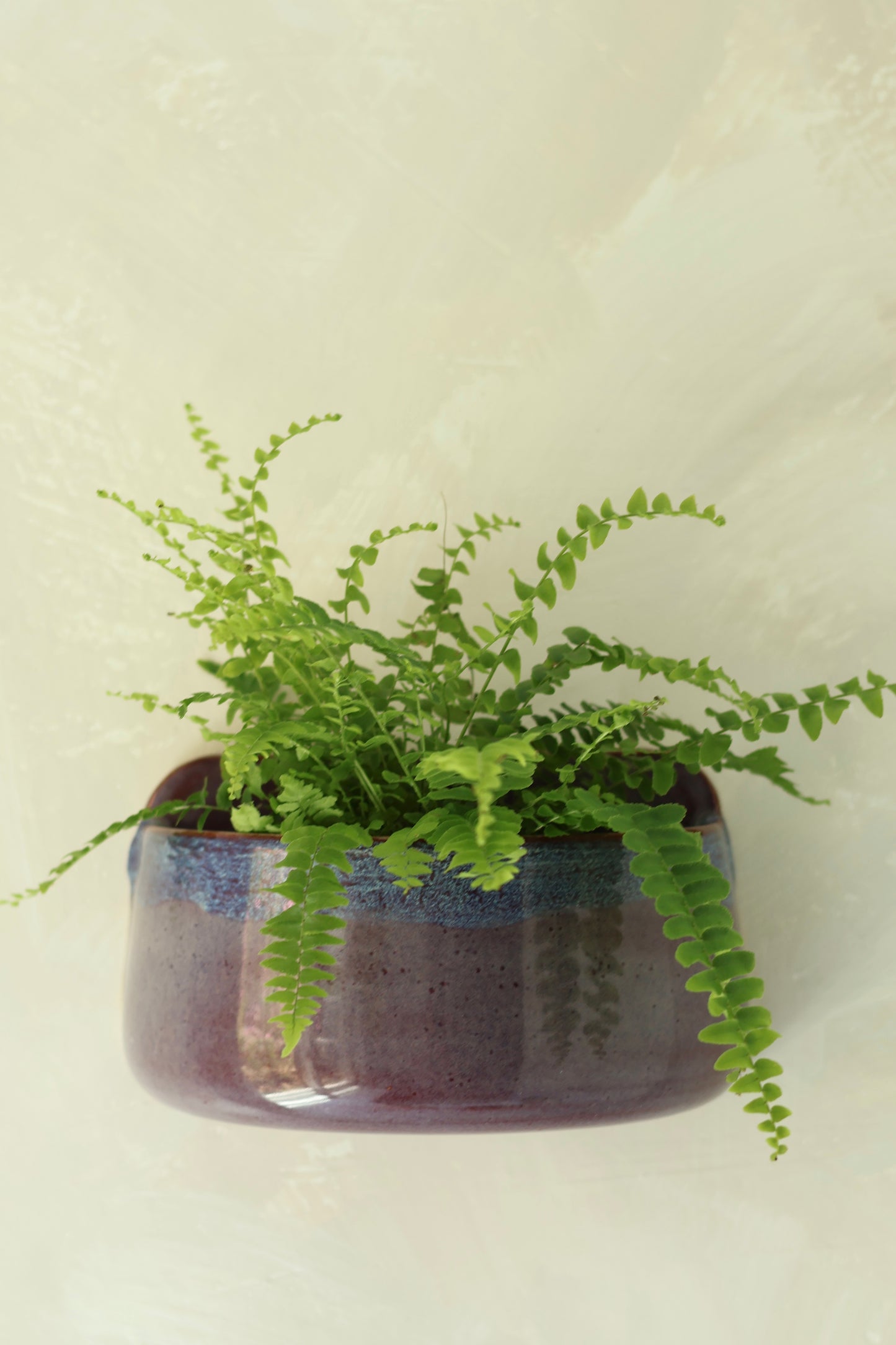 Wall Pocket Planter | Amethyst