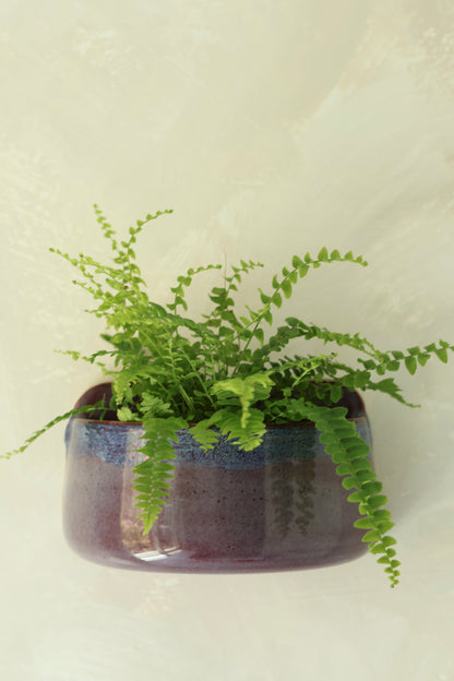 Wall Pocket Planter | Amethyst
