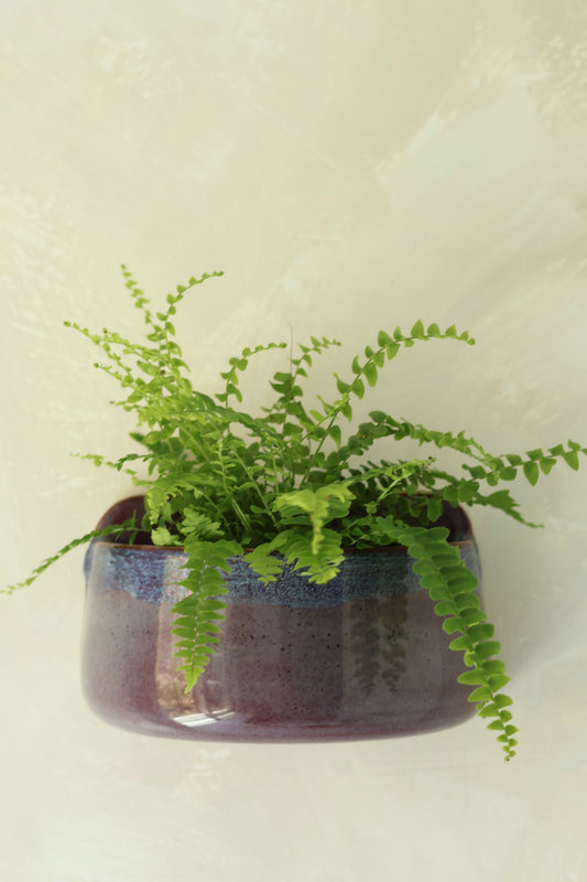 Wall Pocket Planter | Amethyst