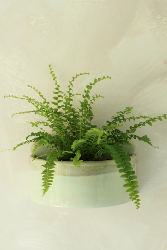 Wall Pocket Planter | Dewy Moss