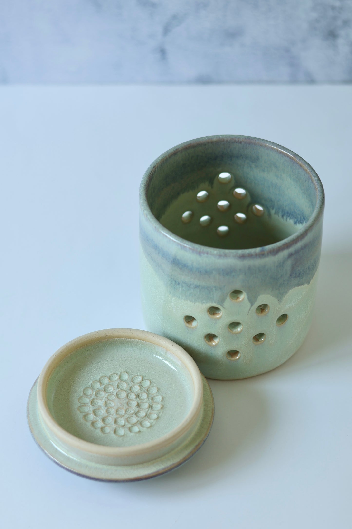 Garlic Keeper | Green & Purple